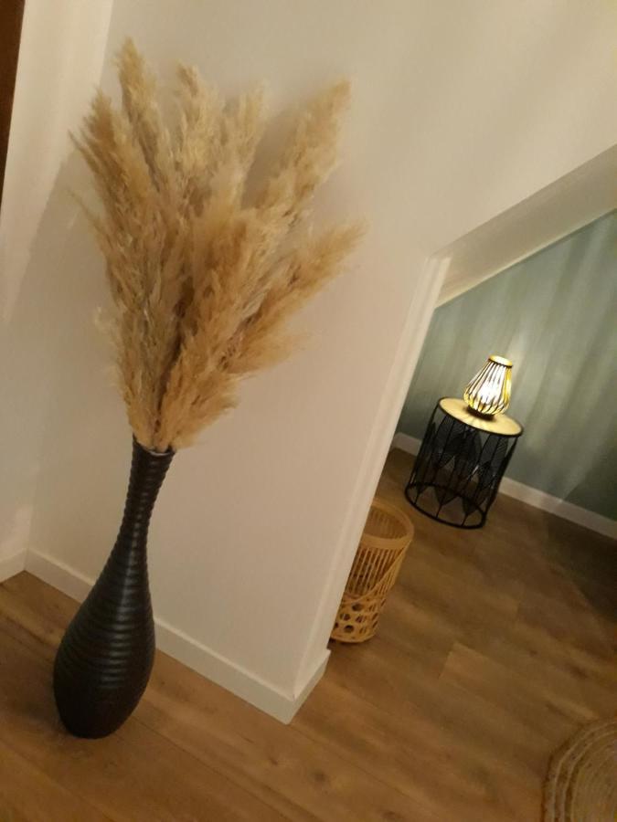 La Canisse 3 : Joli Appartement - Boulogne Sur Mer Zewnętrze zdjęcie